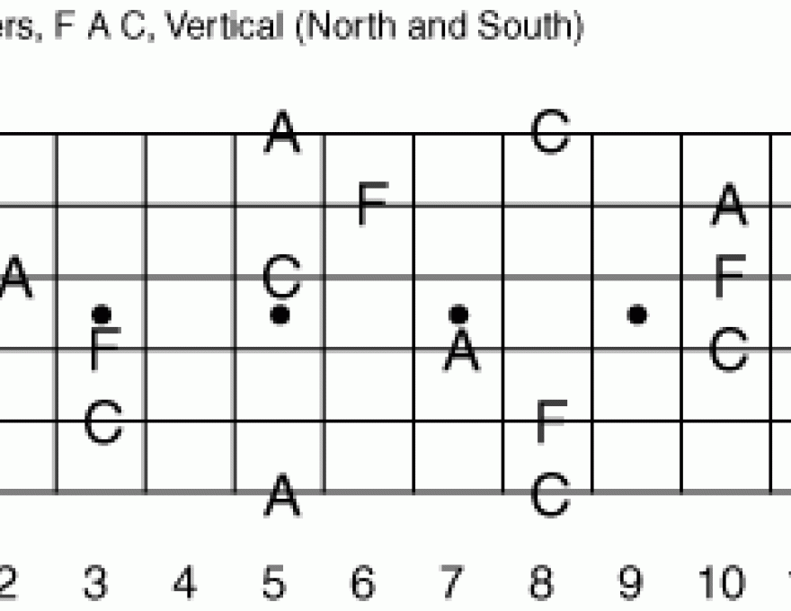 All the Chords I Needed to Know I Learned at My First Lesson! 