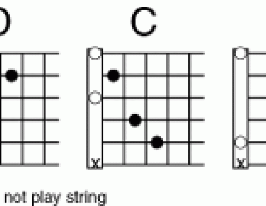 All the Chords I Needed to Know I Learned at My First Lesson! 