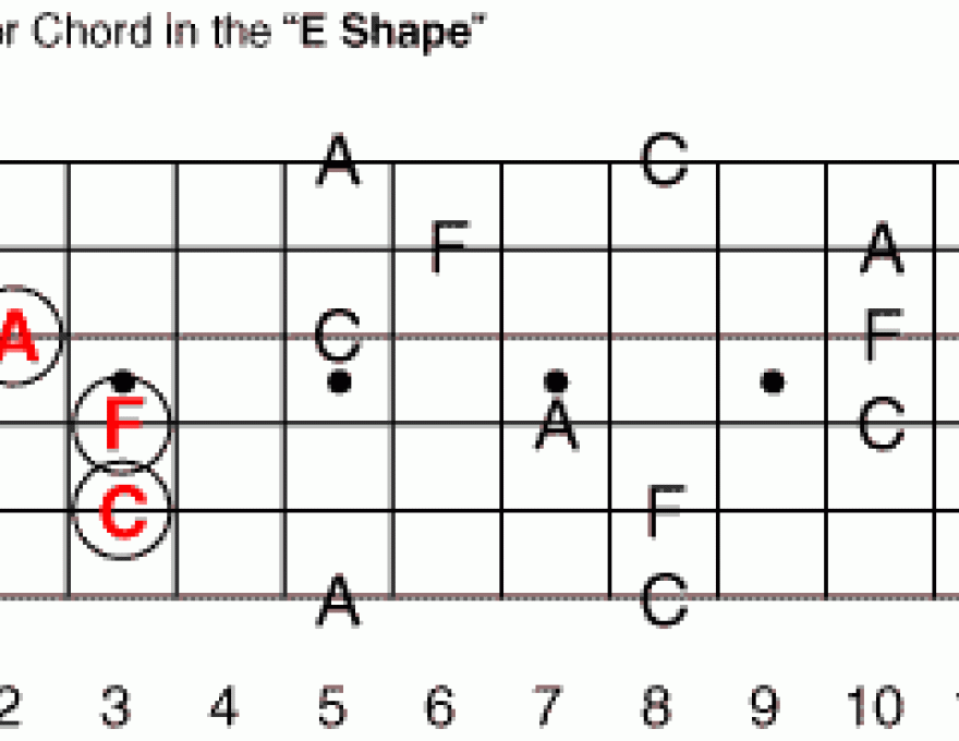 All the Chords I Needed to Know I Learned at My First Lesson! 