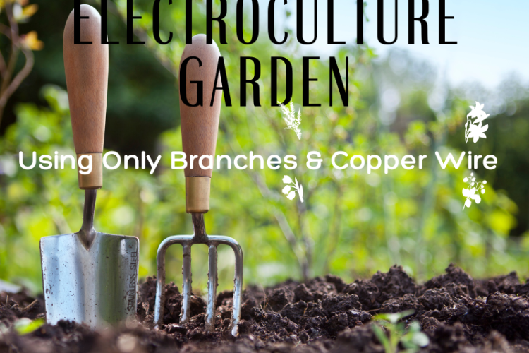 Electroculture Garden