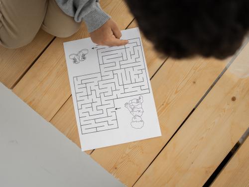 Preparing the Brain to Learn Begins Before Birth