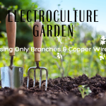 Electroculture Garden
